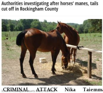 CRIMINAL ATTACK Nika Taiemma, Princess, Lawndale Near Lawndale, NC, 28090